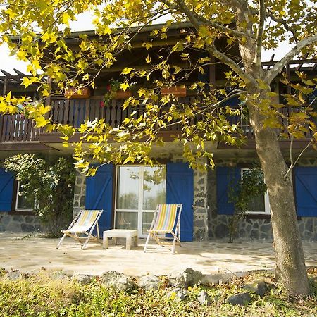 Art Provence House Villa Lozenets Exterior photo